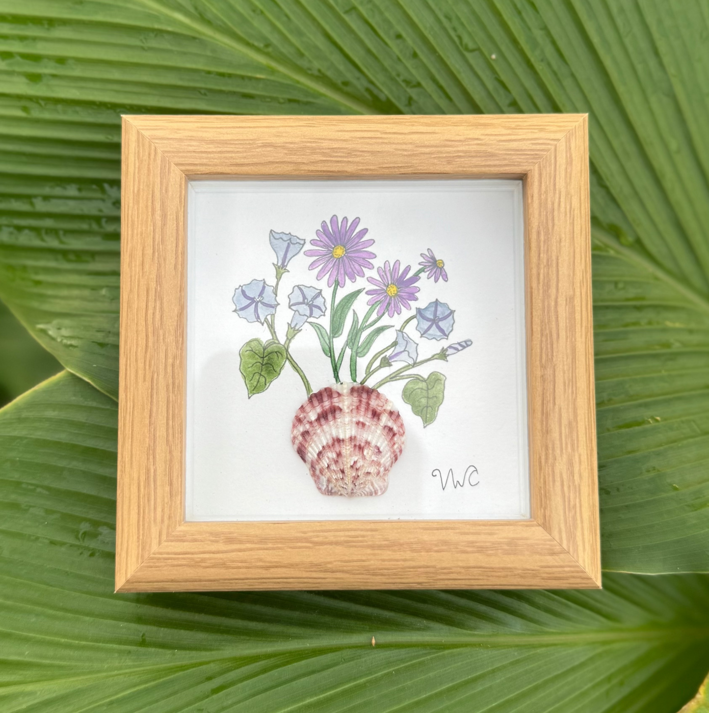 September - Aster & Morning Glory