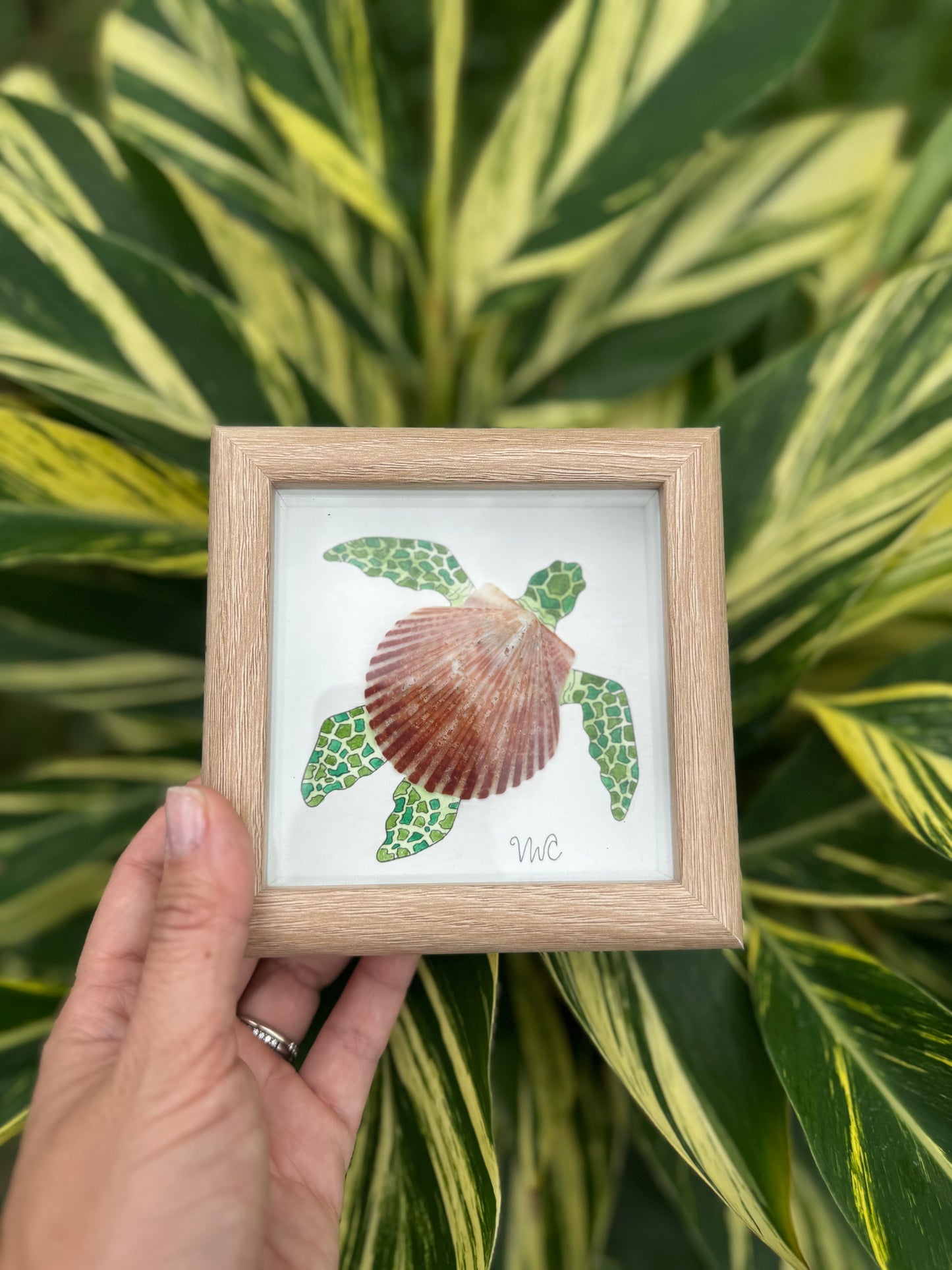 π’ Shell Love (Solo Turtle, 5x5)