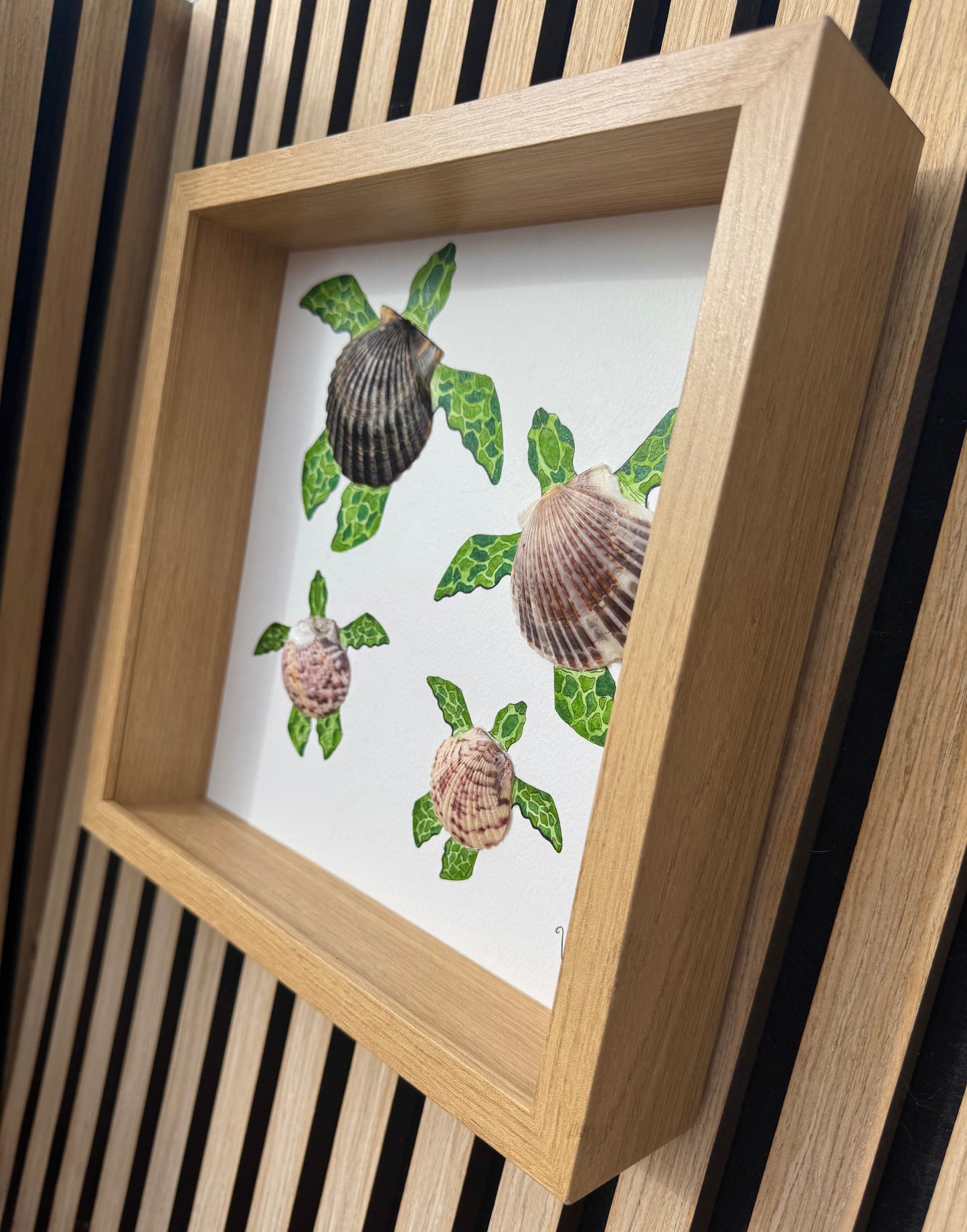 Turtle Family Collection | Family of 4