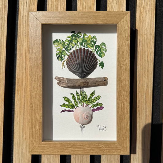 Mint Monstera & Calathea Rattlesnake (4x6)