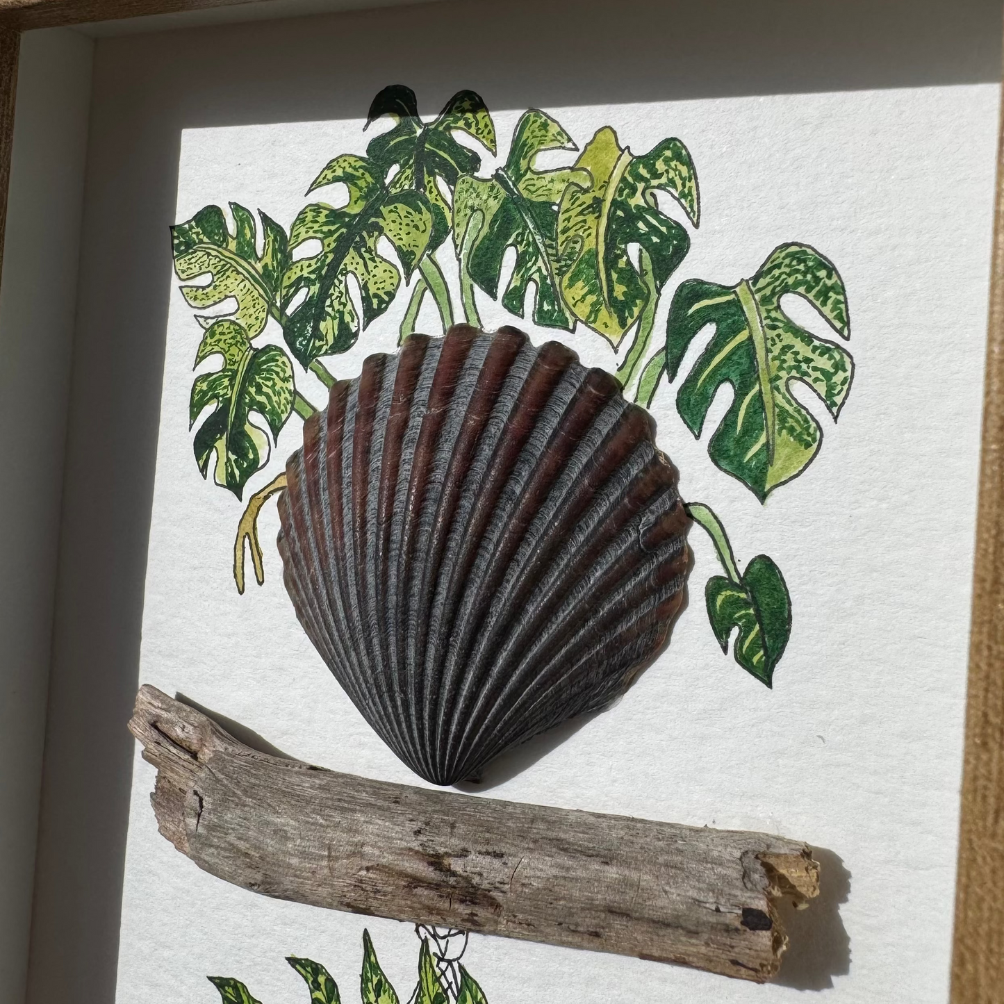 Mint Monstera & Calathea Rattlesnake (4x6)