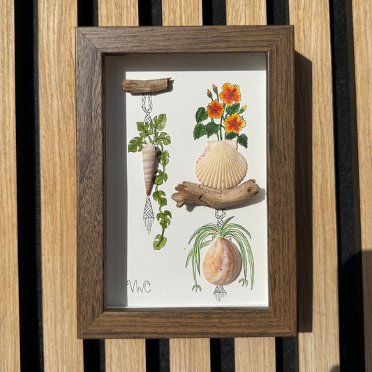 Rhaphidophora Tetrasperma, Hibiscus & Spider Plant (4x6)