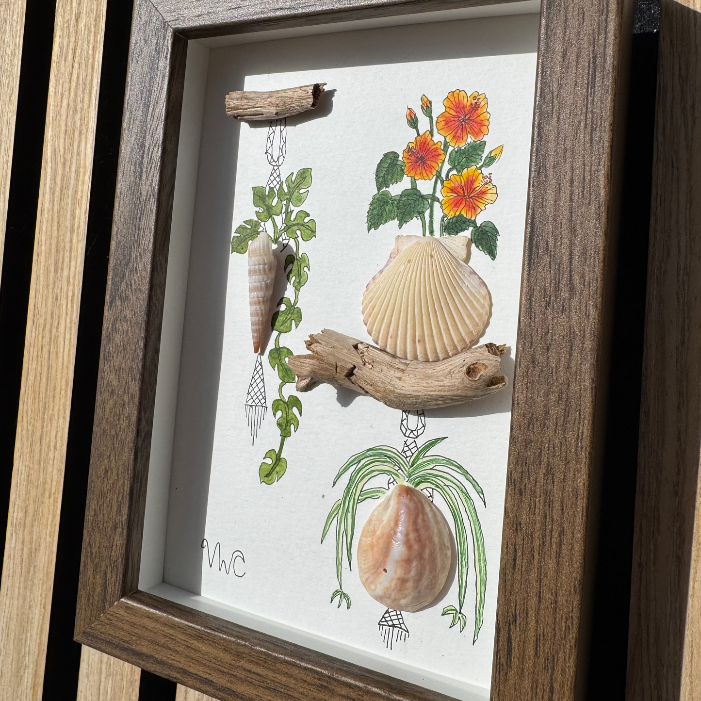 Rhaphidophora Tetrasperma, Hibiscus & Spider Plant (4x6)