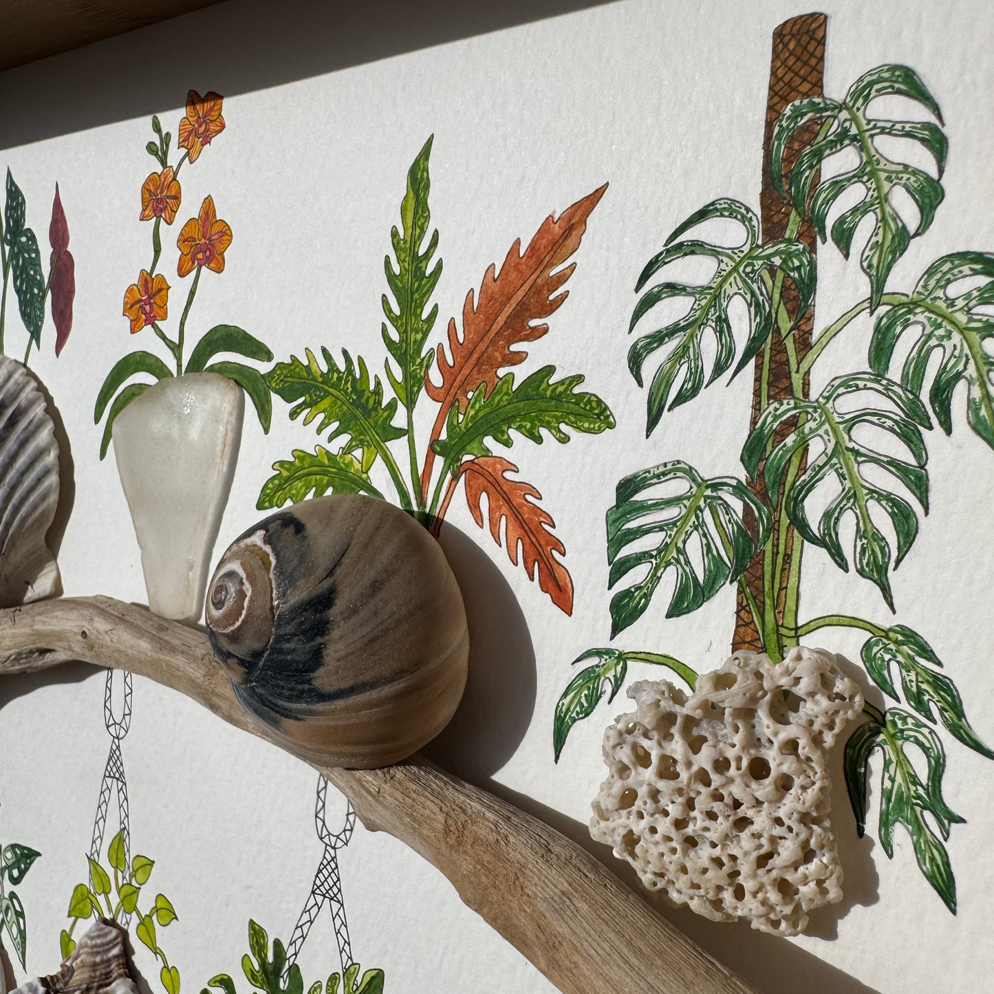 Botanical Shelf Garden (10x10)