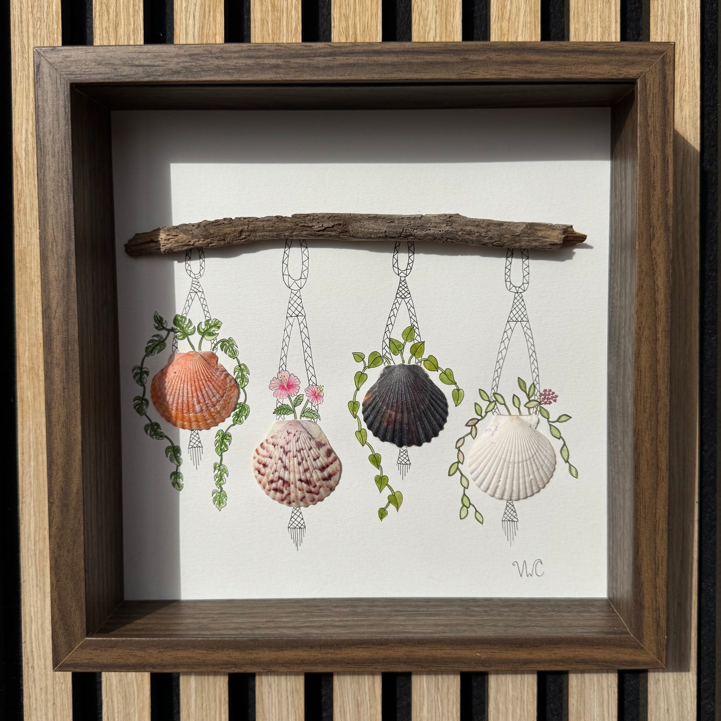 A Garden of Scallops (10x10)