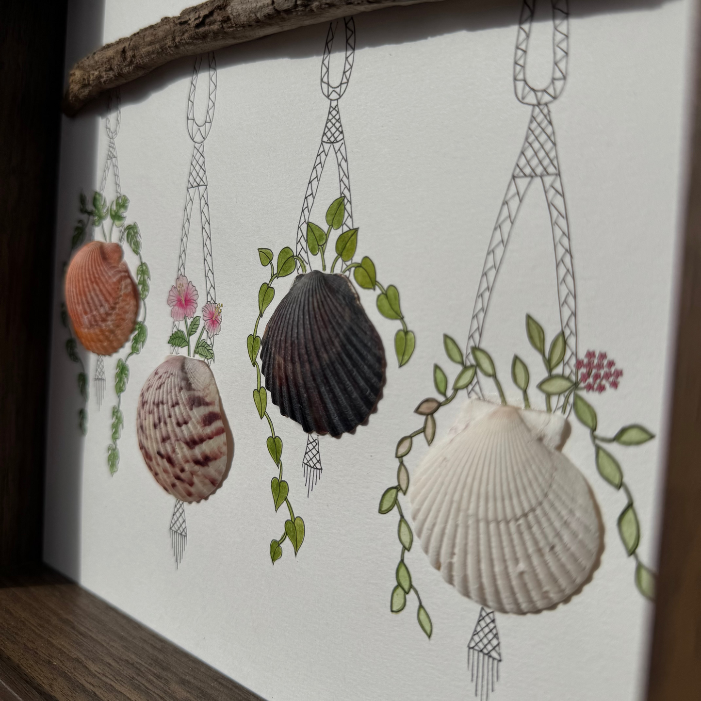 A Garden of Scallops (10x10)
