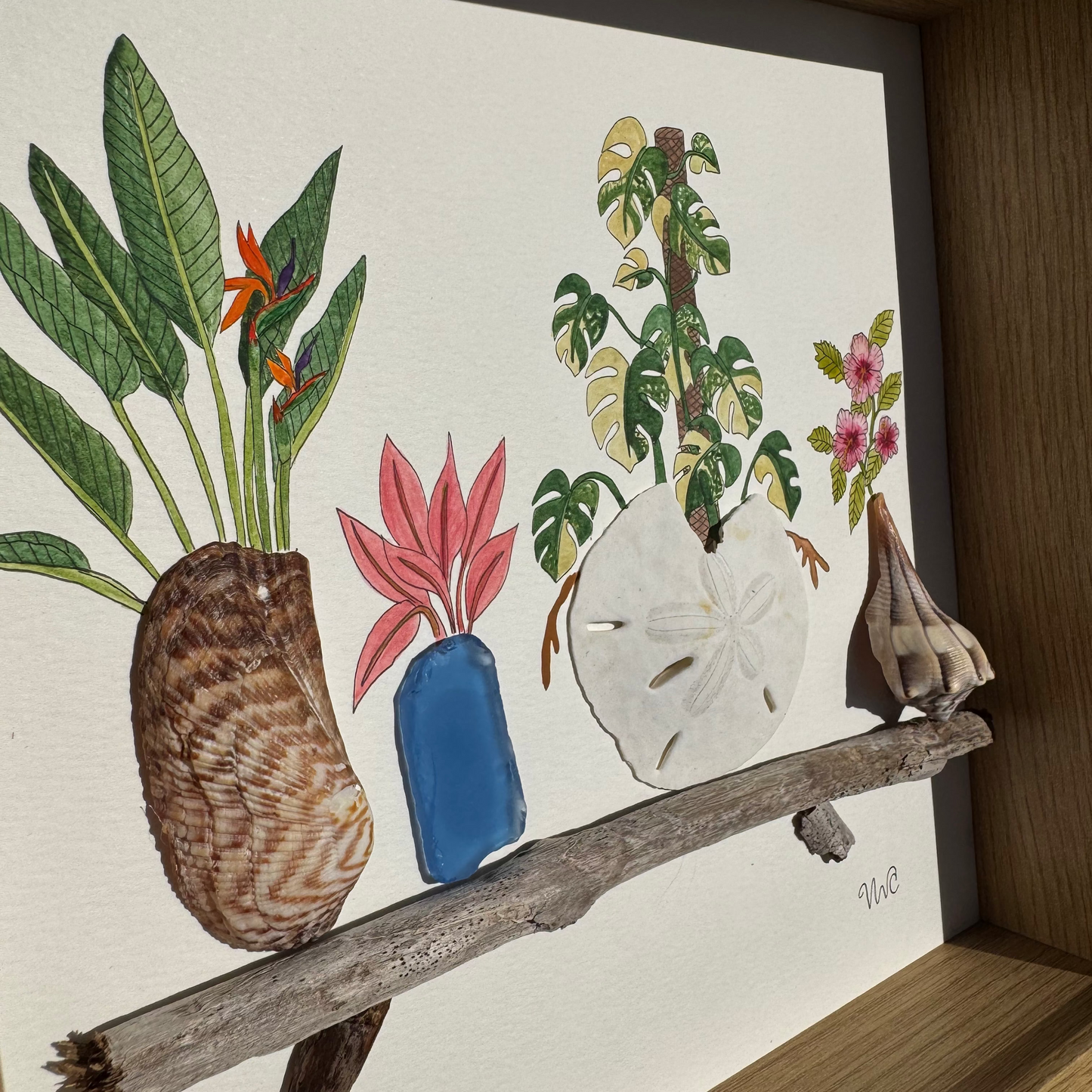 Monstera on the Rocks