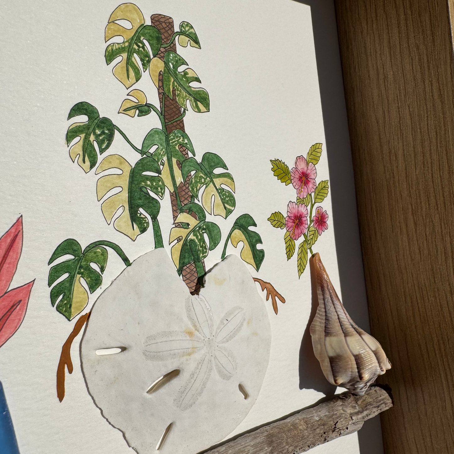 Monstera on the Rocks