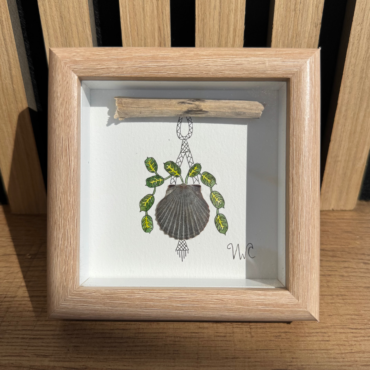 Praying Plant in Black Scallop Shell