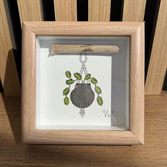 Praying Plant in Black Scallop Shell