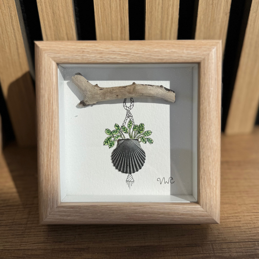 Fishbone Plant