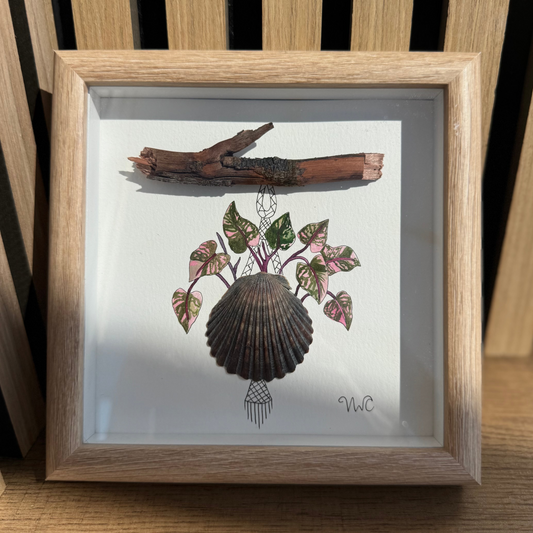 Pink Princess Hanging Planter