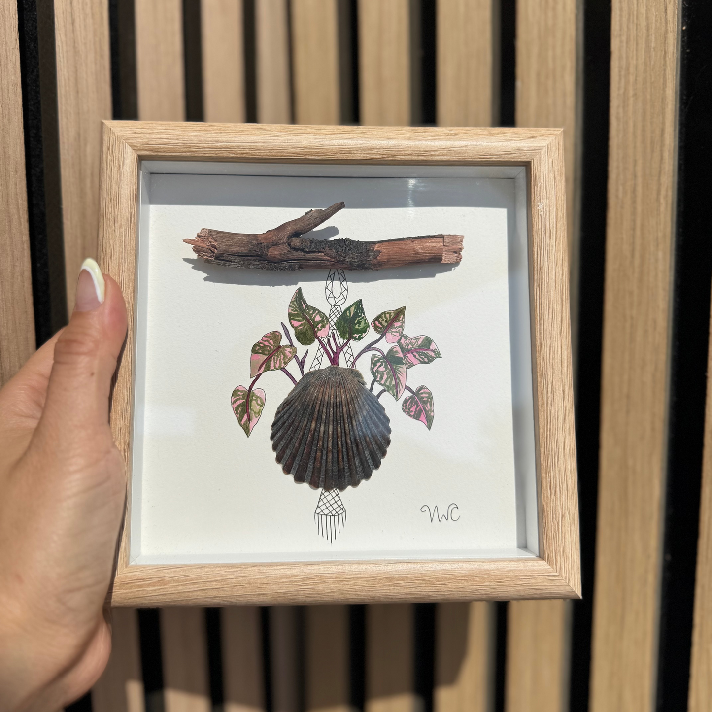 Pink Princess Hanging Planter