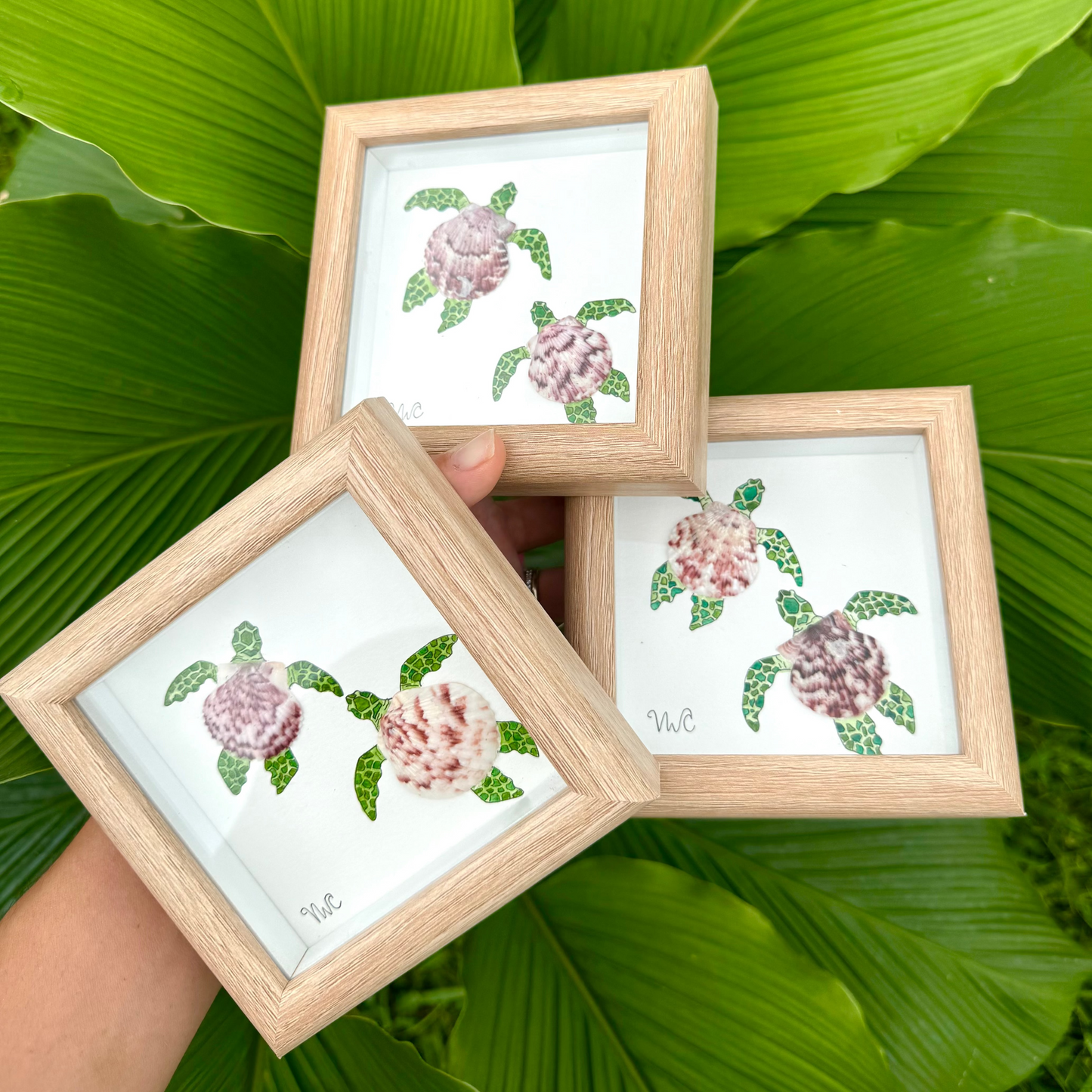 🐢✨ Shellmates (Turtle Duo, 5x5)