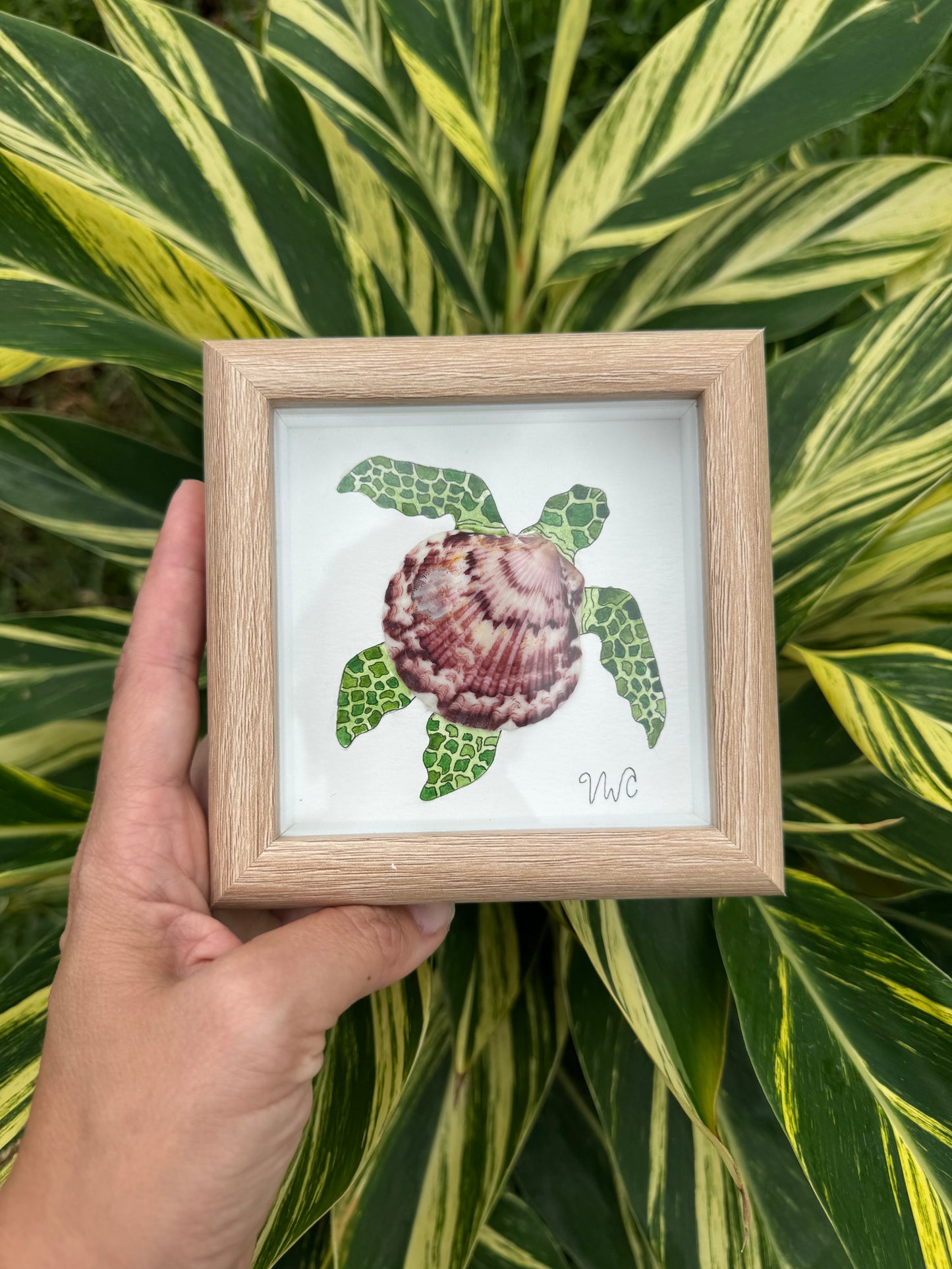 🐢 Shell Love (Solo Turtle, 5x5)