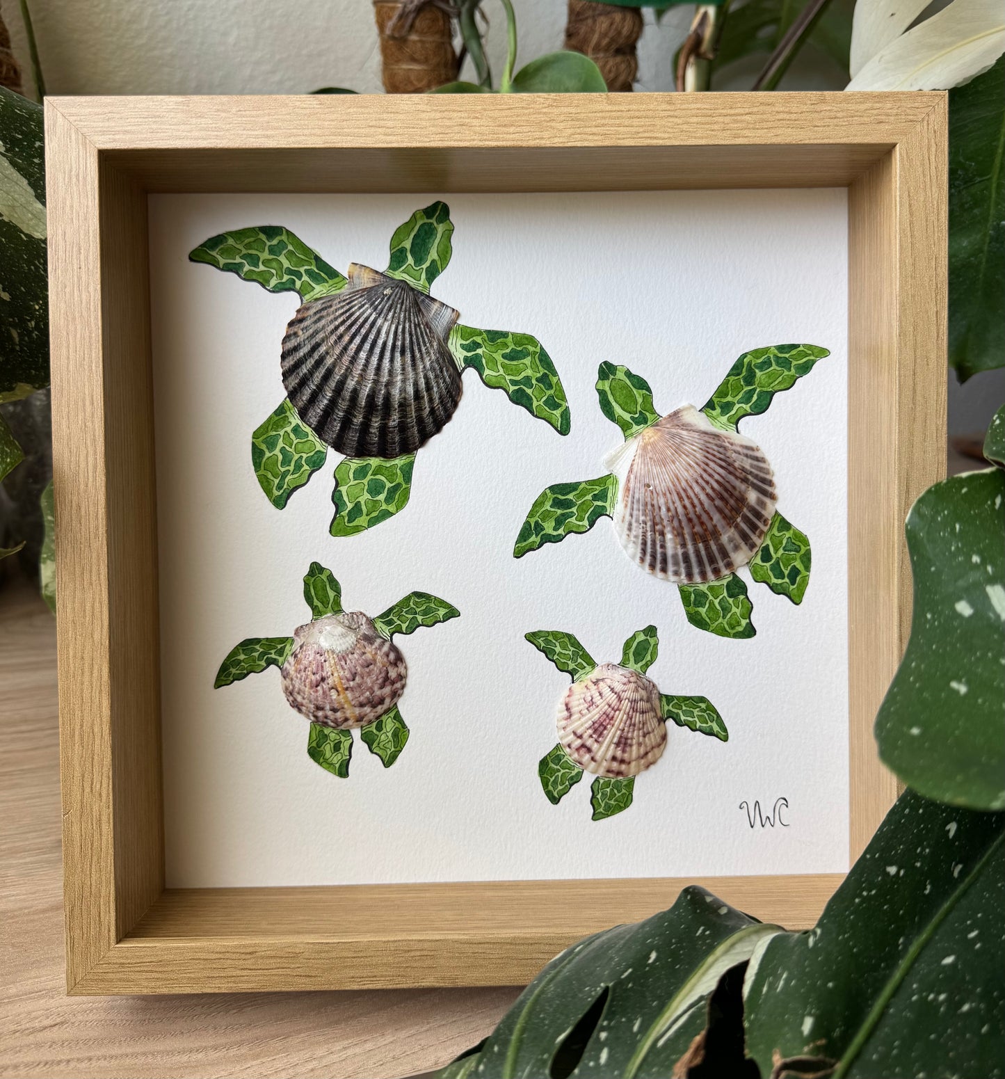 Turtle Family Collection | Family of 4