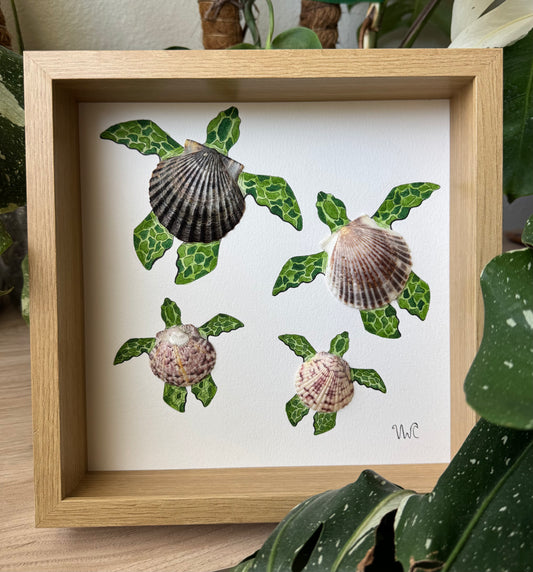 Turtle Family Collection | Family of 4